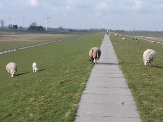 Maison de vacances Dangast Environnement 29