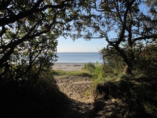 250m von der Terrasse entfernt die Nordsee