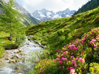 Apartamento de vacaciones Ramsau im Zillertal Entorno 23