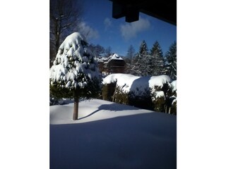 Winter in unserem Garten