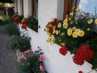 Holiday apartment Hinterzarten Outdoor Recording 4