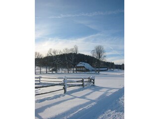 Holiday apartment Hinterzarten  25