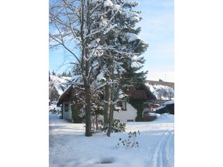 Holiday apartment Hinterzarten Outdoor Recording 13