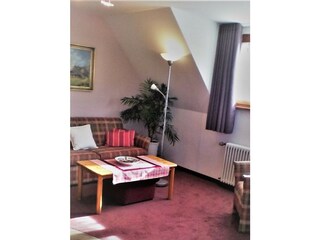 Holiday apartment Hinterzarten Living Room 17