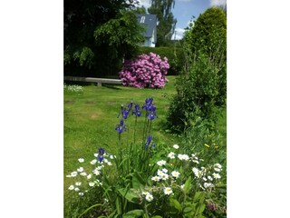 Holiday apartment Hinterzarten Outdoor Recording 6