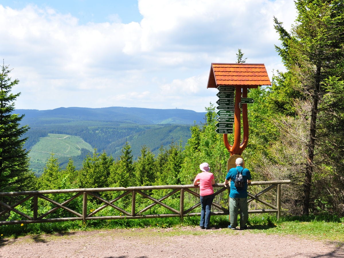 Wandern im Thüringer Wald