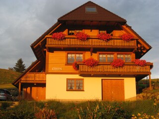 Die Frontansicht im Sommer
