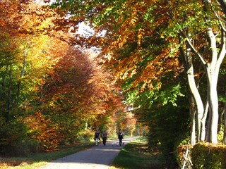 Flurhecken - auch im Herbst sehenswert