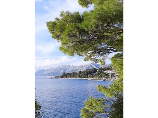 Appartamento per vacanze Brela Ambiente 31