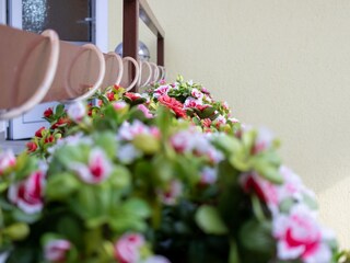 Appartamento per vacanze Ahlbeck (Usedom) Registrazione all'aperto 4