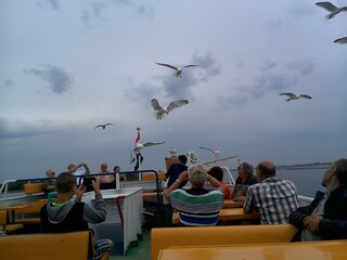 Casa per le vacanze Bruinisse Ambiente 19