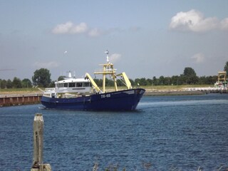 Casa per le vacanze Bruinisse Ambiente 20