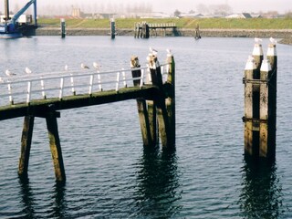 Casa per le vacanze Bruinisse Ambiente 12