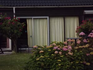 Holiday house Hertengang 2 - Bruinisse - image1