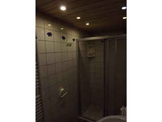 Casa per le vacanze Bruinisse Caratteristiche 10