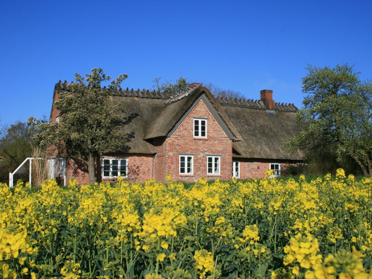 Holiday house Gelting Outdoor Recording 1