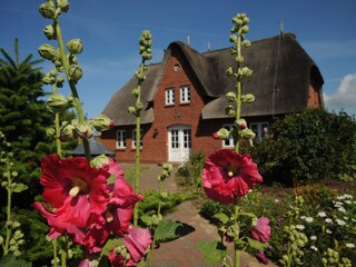 Unser Nei Hüs der Ferienwohnung