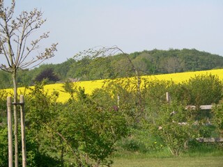 Ausblick