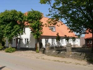 Ferienhaus Alte Mühle - FHEB - Ekenis - image1