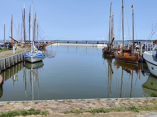 Hafen Dierhagen 1