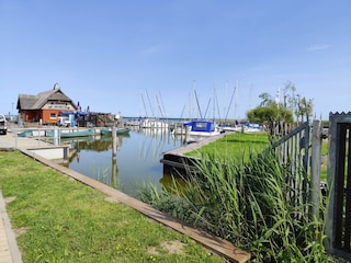 Hafen Dierhagen 2