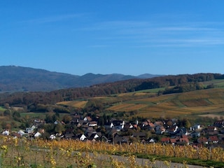 Mauchen