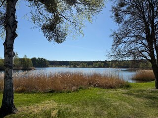 Kluger See