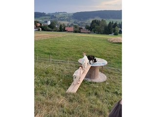 Ferienwohnung Herrischried Außenaufnahme 7