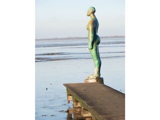 Vakantieappartement Dangast Omgeving 19