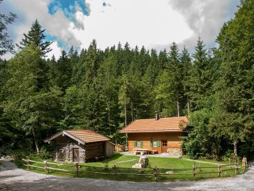 Ferienhaus Almhaus Webermohof