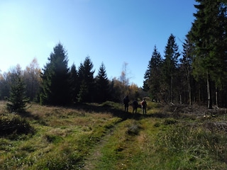 wunderschöne Wanderwege in der Umgebung....