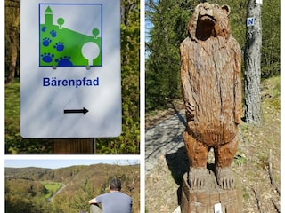 Bärenpfad