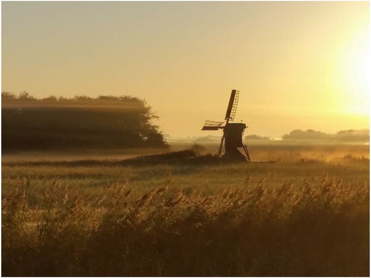 Morgenstimmung am Orsteingang, vom Bruder eingefangen )