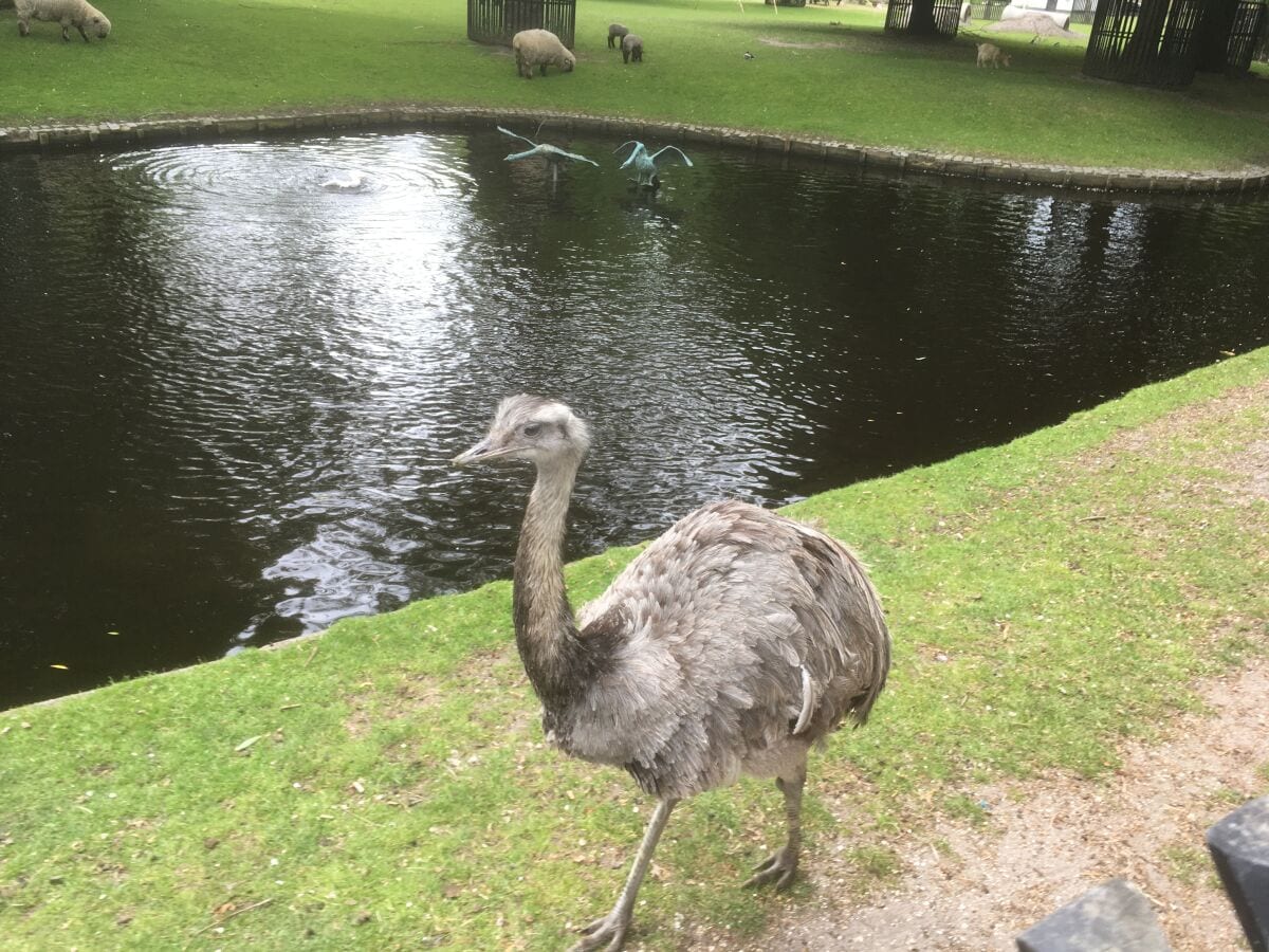 Stadtpark Bergen