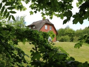 Ferienhaus Libellenhaus