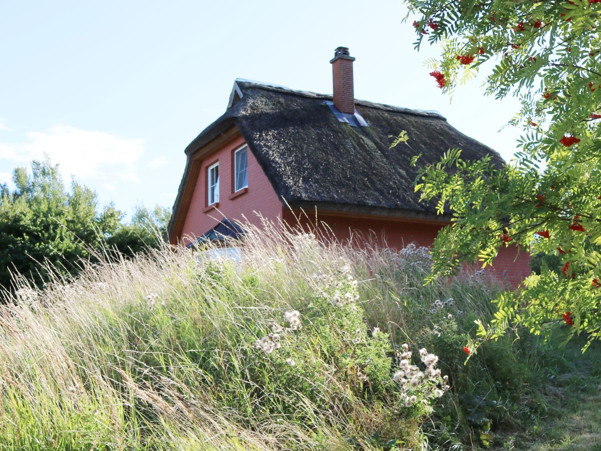 Ferienhaus Schmetterlinghaus