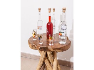 Appartamento per vacanze Rauris Caratteristiche 19