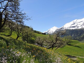 Appartamento per vacanze Rauris Registrazione all'aperto 7