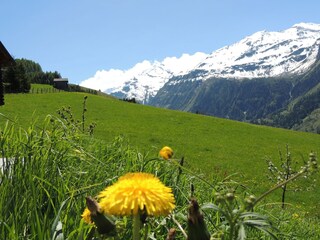 Appartamento per vacanze Rauris Registrazione all'aperto 8