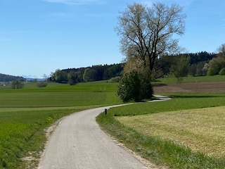 Holiday house Krumbach Environment 36