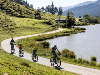 Radweg zum Grießensee