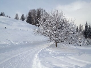 Appartamento per vacanze Leogang Ambiente 19