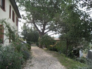 Holiday apartment Suvereto Environment 8