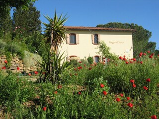 Holiday apartment Suvereto Outdoor Recording 4