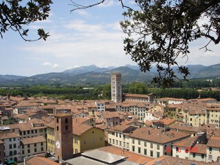 Holiday apartment Suvereto  17