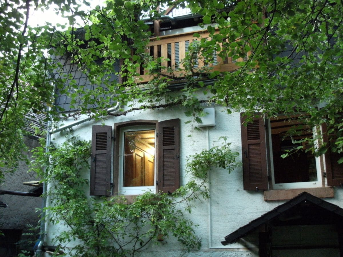 View from the garder at living room and loggia