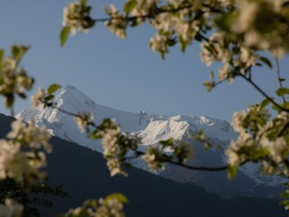 Appartamento per vacanze Hippach Ambiente 15