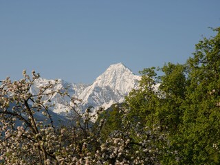 Appartamento per vacanze Hippach Ambiente 16