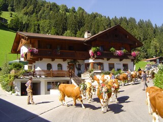 Appartamento per vacanze Hippach Registrazione all'aperto 2