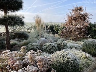 …auch Winter kann schön sein